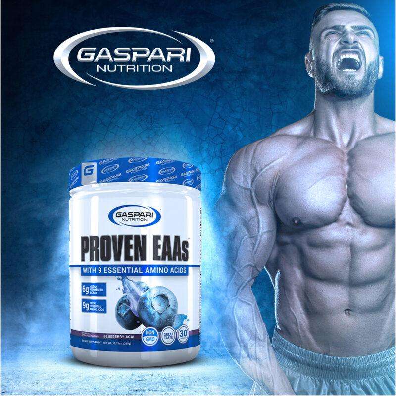 Gaspari Proven EAs