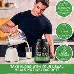 Optimum-Nutrition-Serious-Mass-3-KG-Chocolate-Media